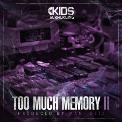 Too Much Memory II (Freestyle)