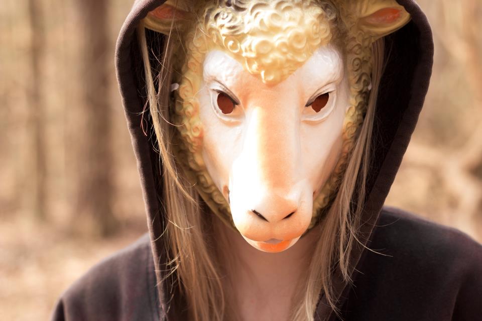 Vs. SPNR VR3 VBT 2013