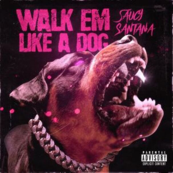 Walk Em Like a Dog