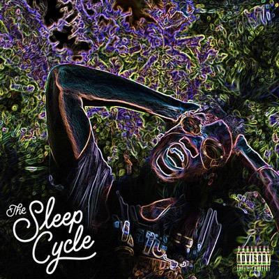The Sleep Cycle