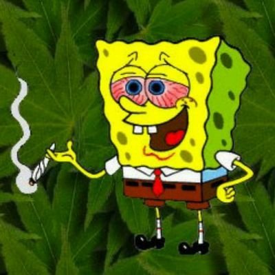 YUNG PLUS ONE – DUDE WEED LMAO